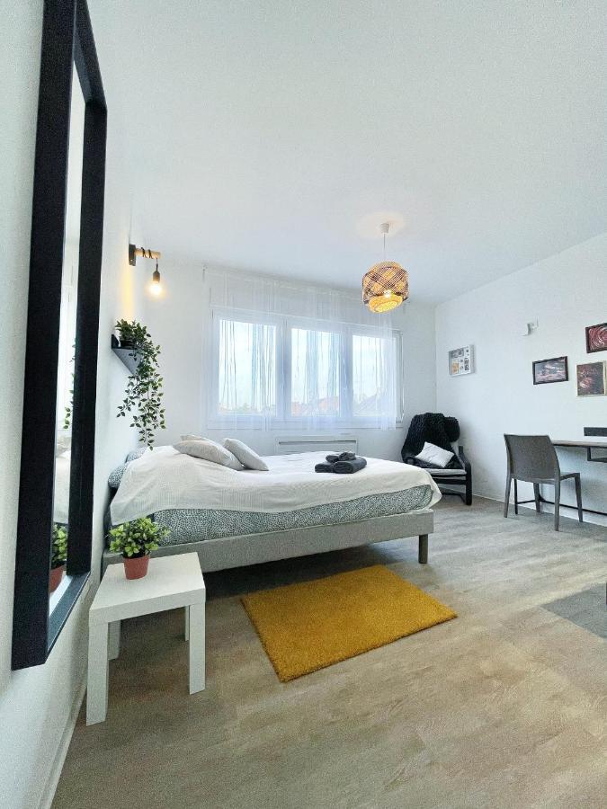 Le Paradis Fiscal, 5Min Bale, Parking Prive Saint-Louis  Exterior photo
